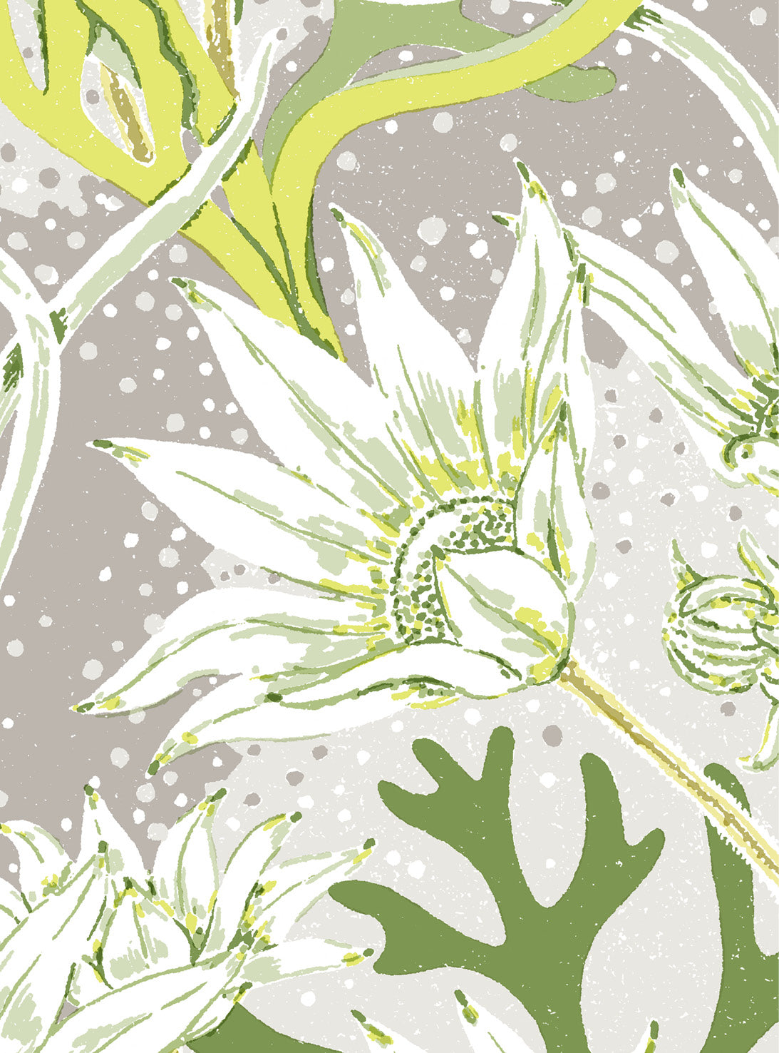 Flannel Flower Lime Wallpaper Swatch/Memo