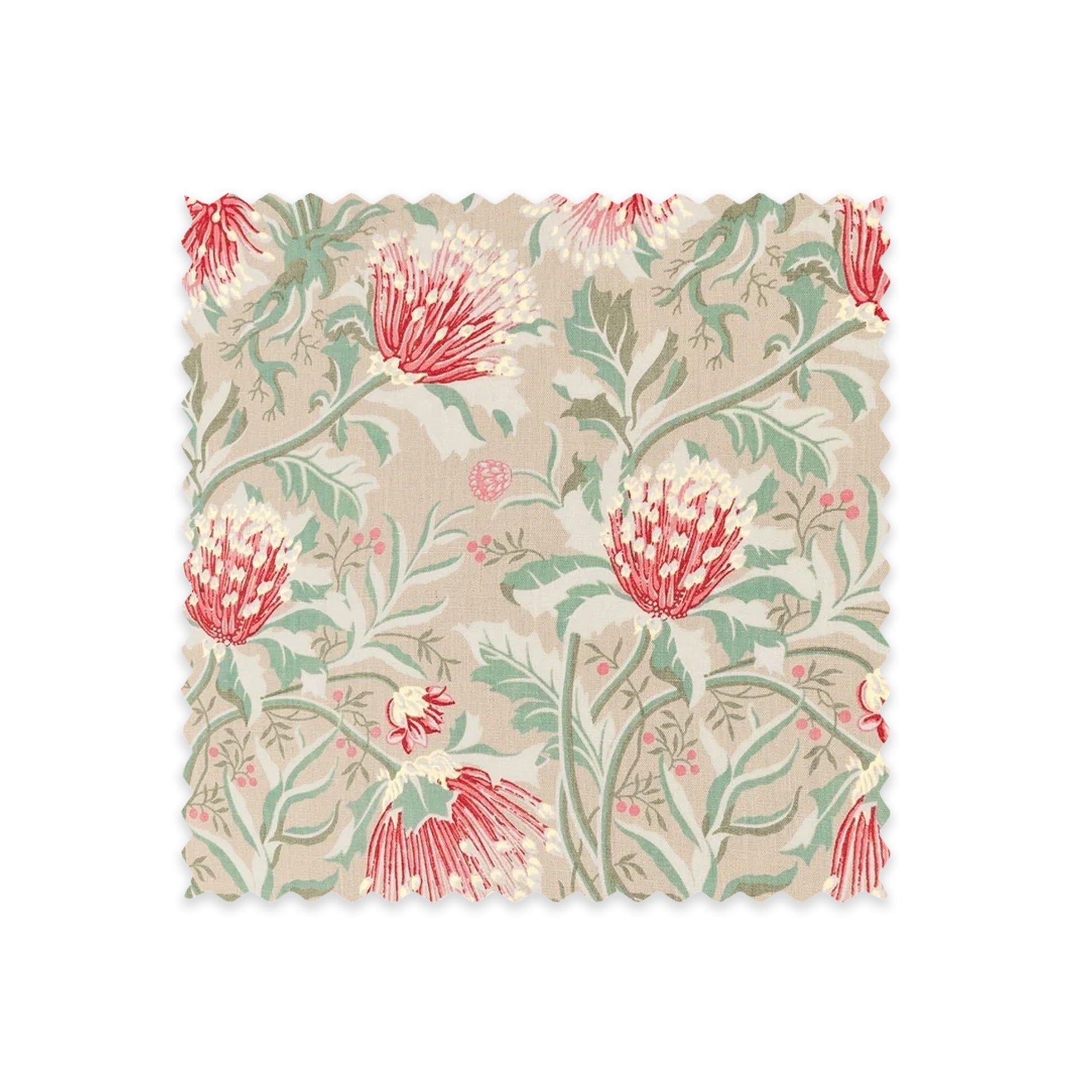 Matchstick Banksia Earth Linen Swatch