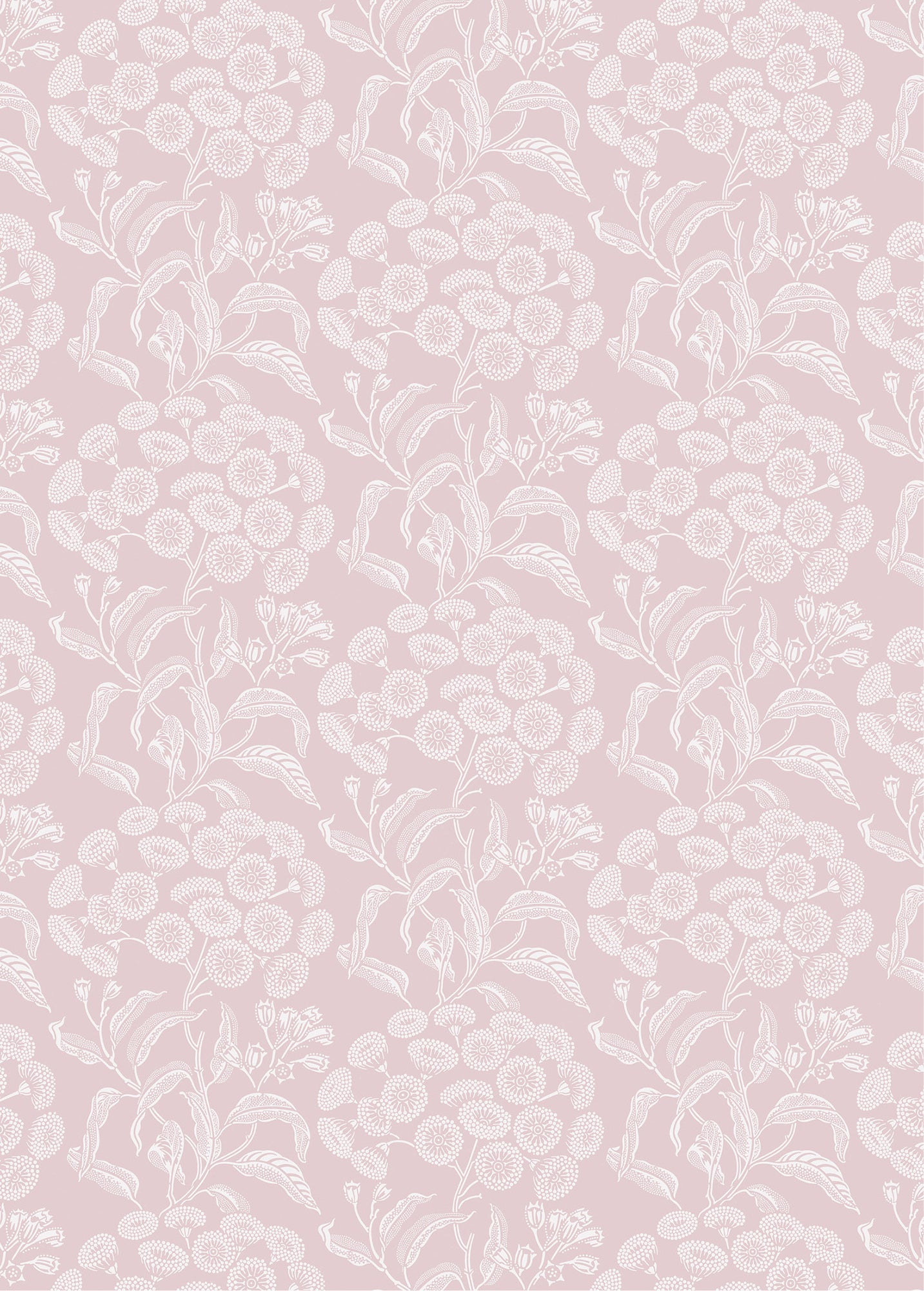 UG-Angophora-Pink-Wallpaper 2024