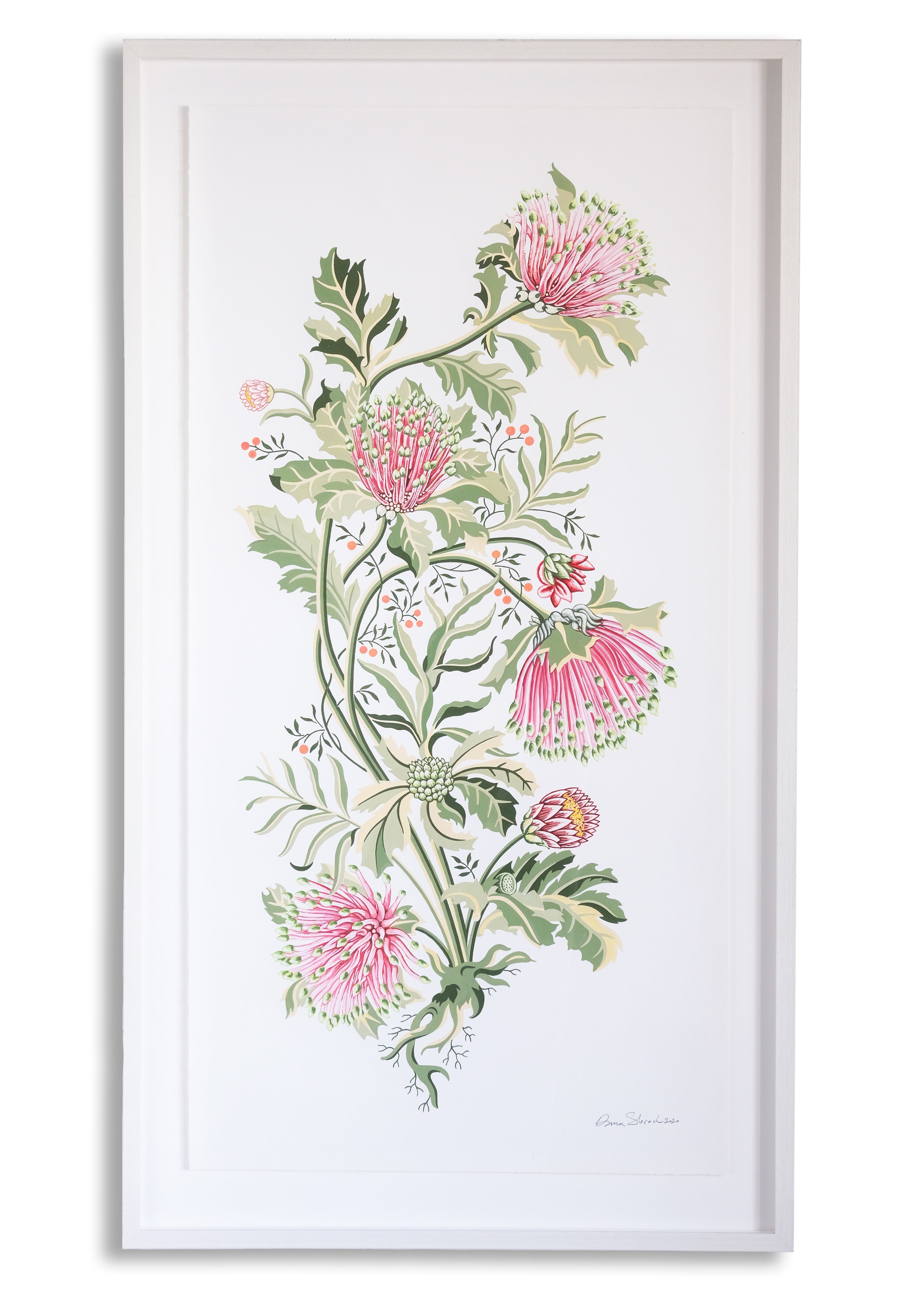 Matchstick Banksia Limited Edition Fine Art Giclee Print