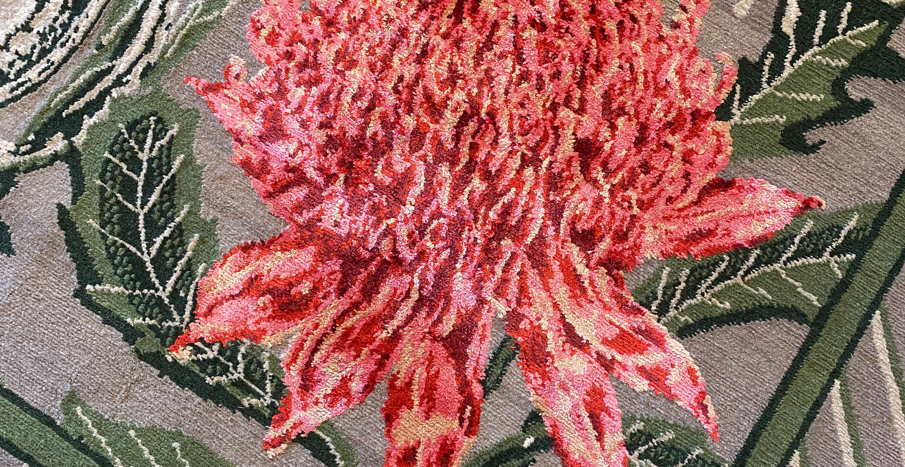 Walking on Waratahs