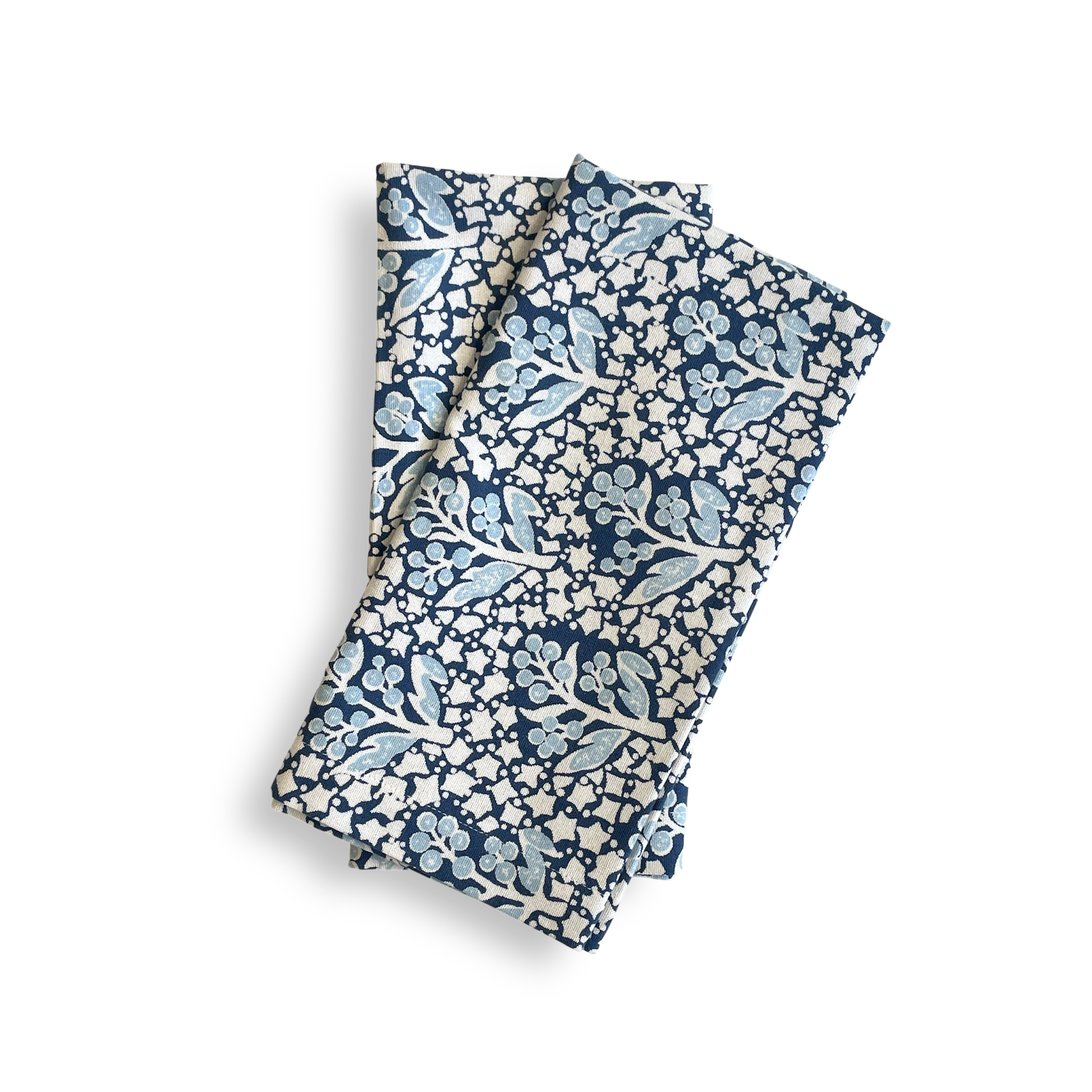 Acacia Blue Napkin Set (2)