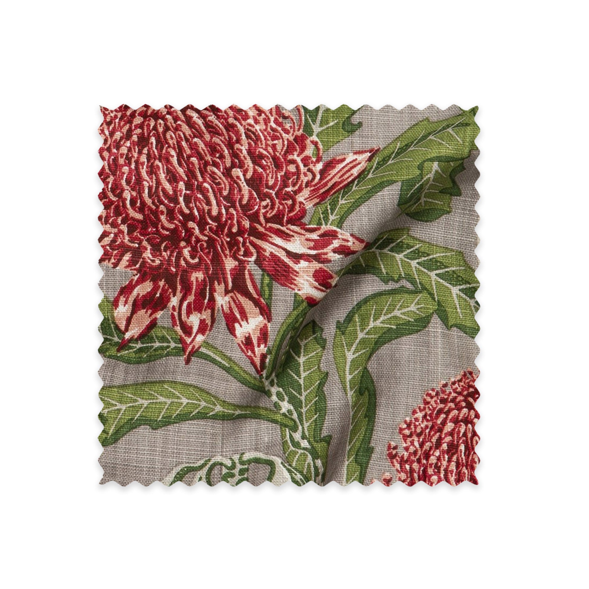 State of Waratah Natural Linen Swatch