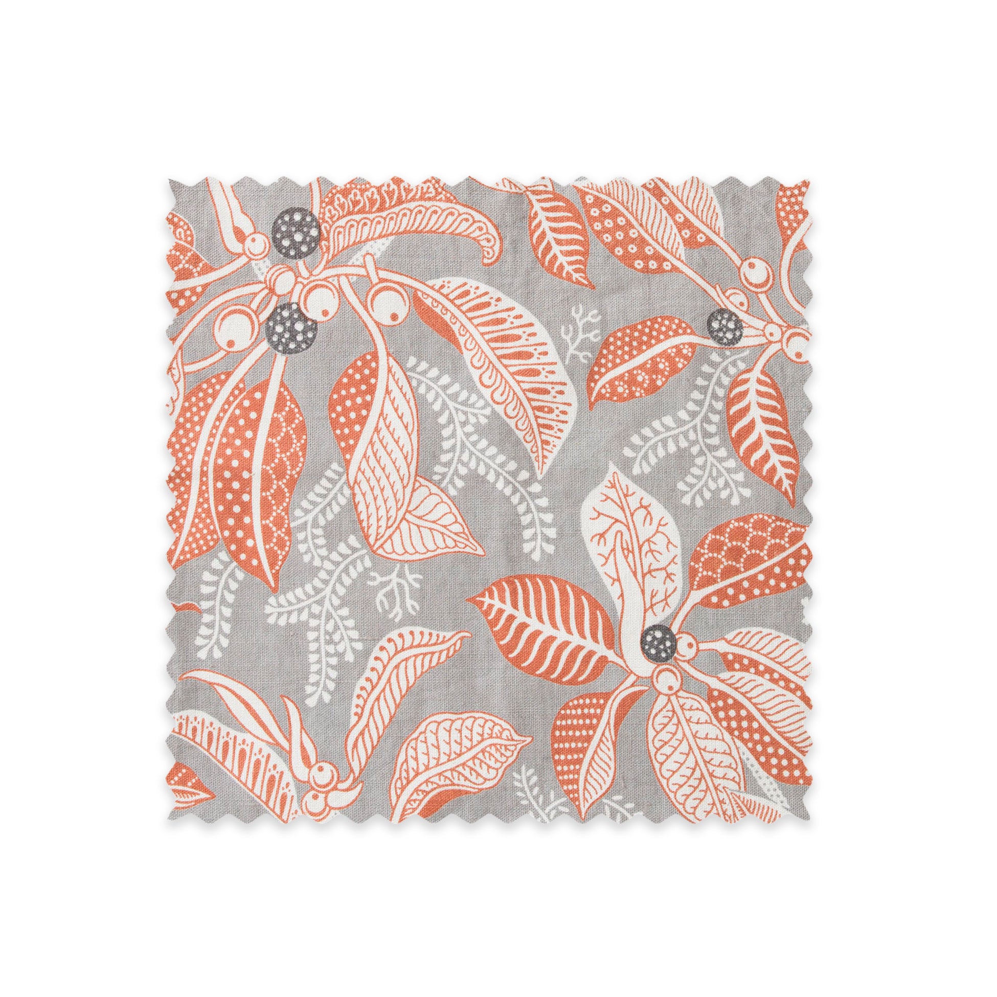 Fig Grey Swatch/Memo