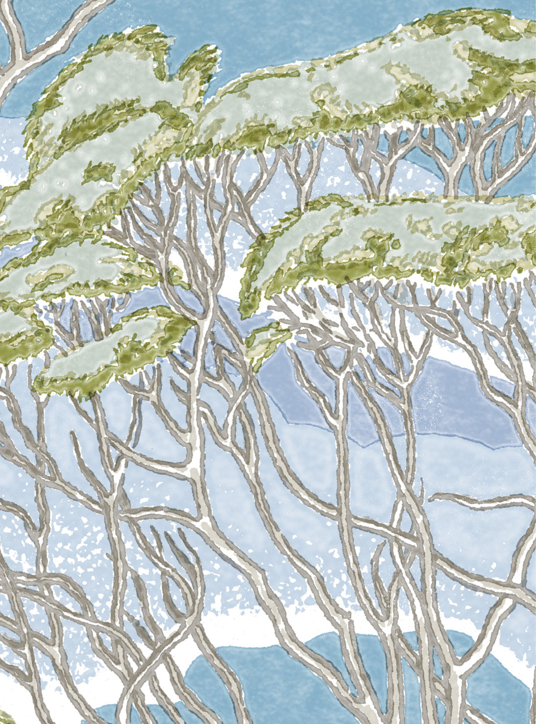 Trees Blue Wallpaper Swatch/Memo
