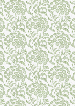 UG-Angophora-Green Wallpaper 2024/5