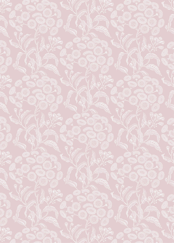 UG-Angophora-Pink-Wallpaper 2024