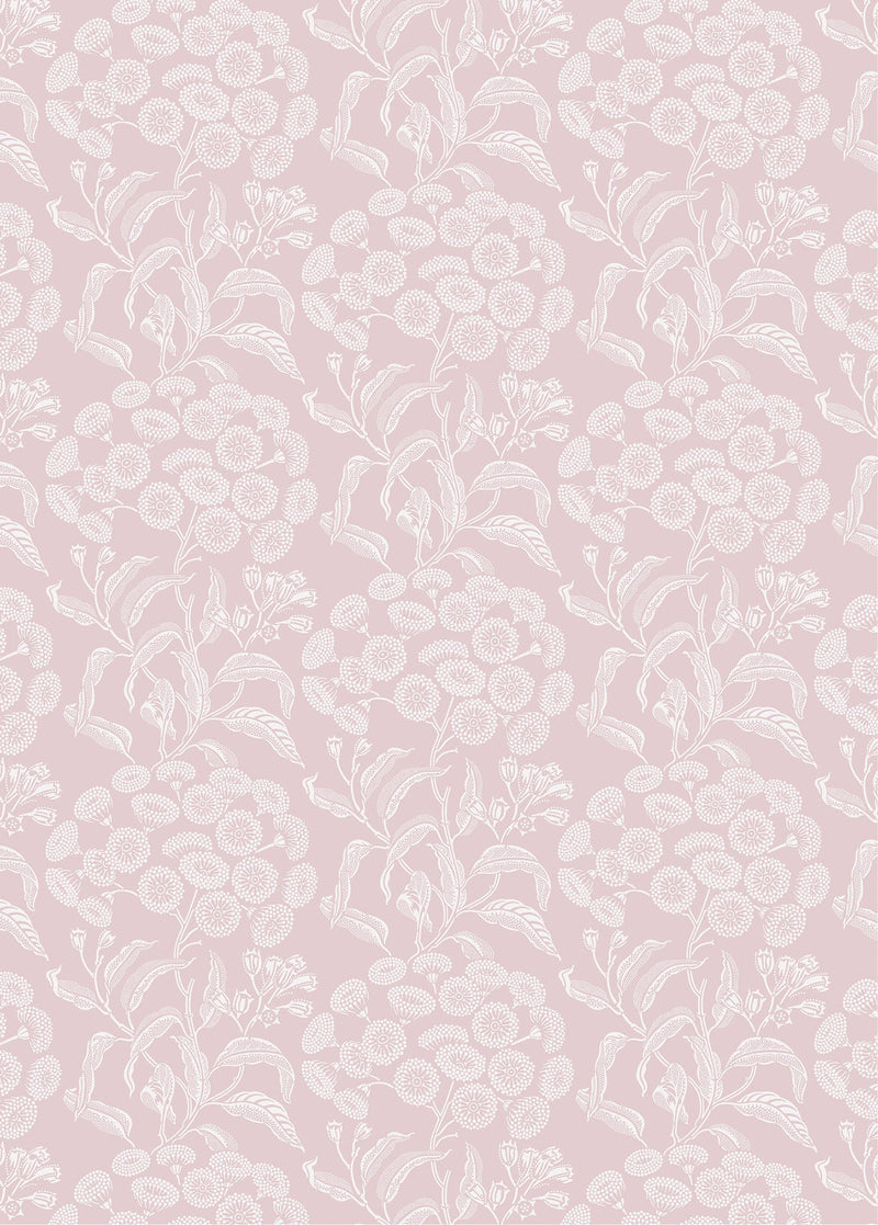 UG-Angophora-Pink-Wallpaper 2024