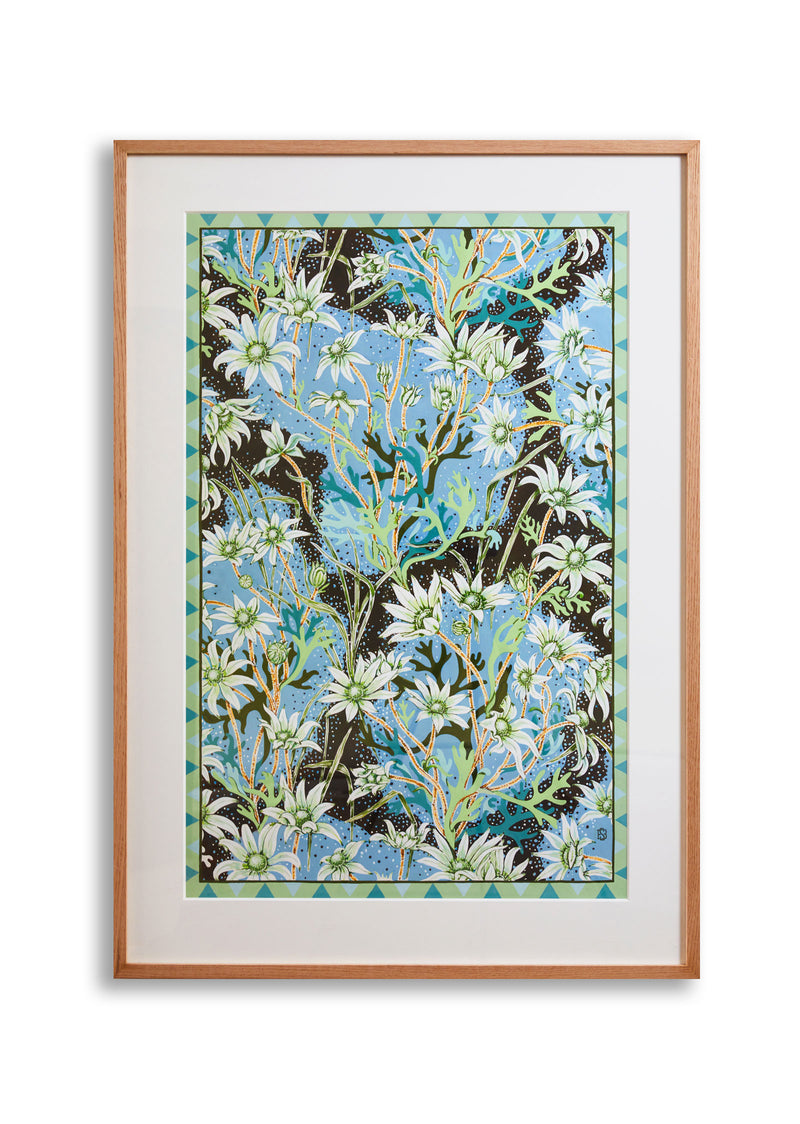 Flannel Flower Fine Art Print